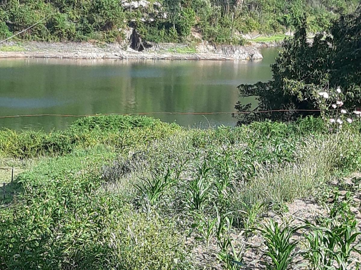 River House Sejaes Oliveira de Frades 外观 照片