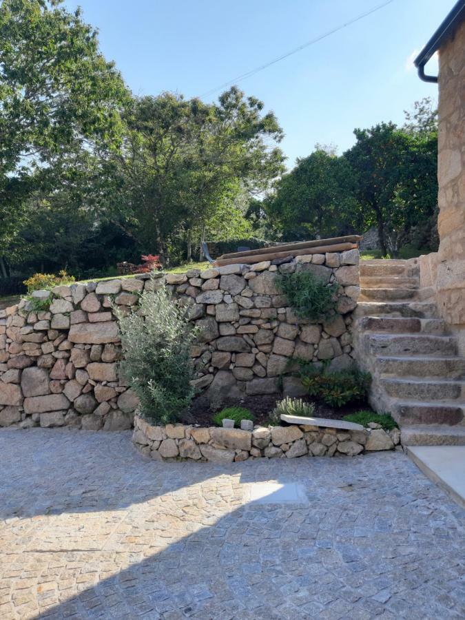 River House Sejaes Oliveira de Frades 外观 照片