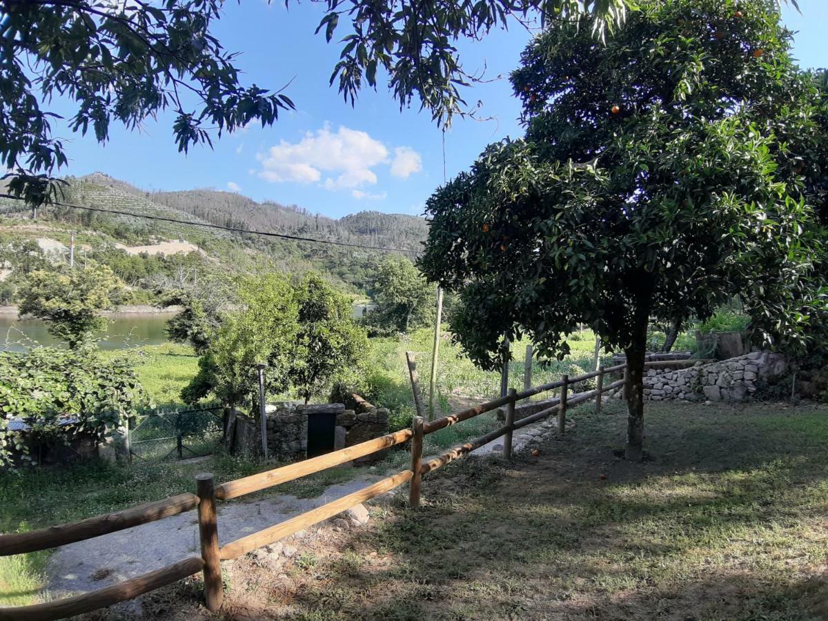River House Sejaes Oliveira de Frades 外观 照片
